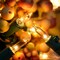 200 Clear Christmas Lights, Pack of 2 Sets 33 Feet 100 Count UL Certified Incandescent String Lights (Clear - Green Wire)